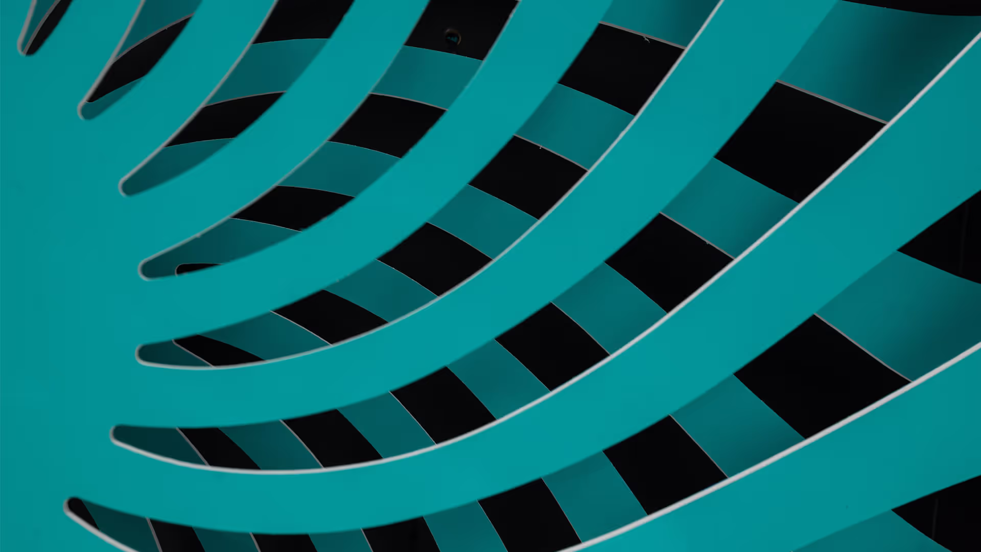 Changing Perceptions, Rebecca Bond, New Zealand